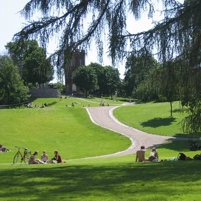 Groups of people sit in a green lawn with trees in the background.