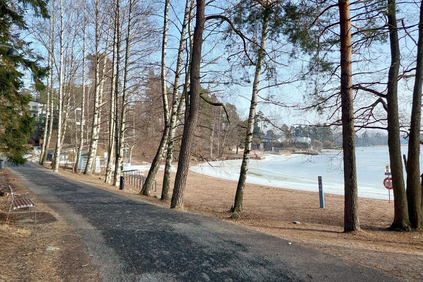 Väg, träd och strand.