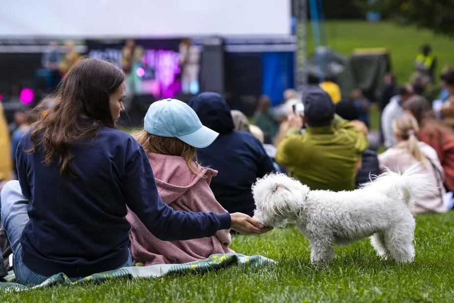 People sitting on the grass, a white dog eating from a person's hand.