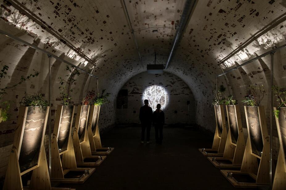 Tania Candiani: Sjungande frön, 2025, detalj. Helsingforsbiennalen 8.6–21.9.2025, Skanslandet.