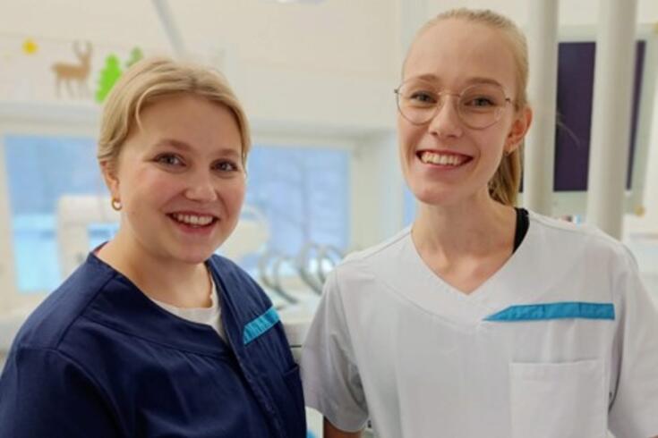 Suuhygienisti, Suun terveydenhuolto