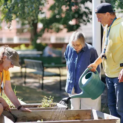 Three people are taking care of a garden together.