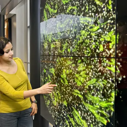 Woman touching a smart screen.