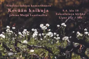 Konsertin mainos