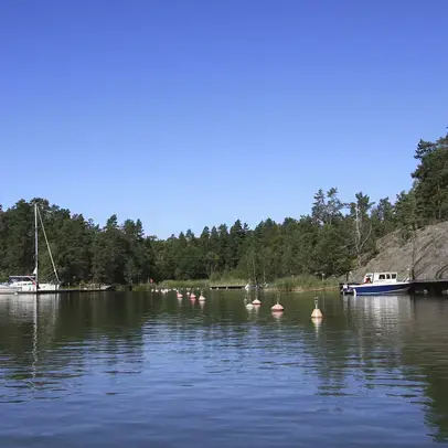 Purjeveneitä saaren edustalla.