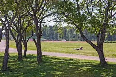 Henkilö makaamassa auringossa alakivenpuiston nurmialueella.