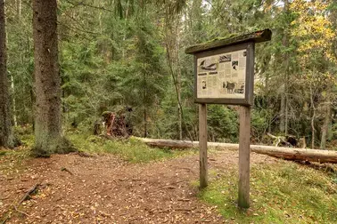 Opastaulu metsässä.