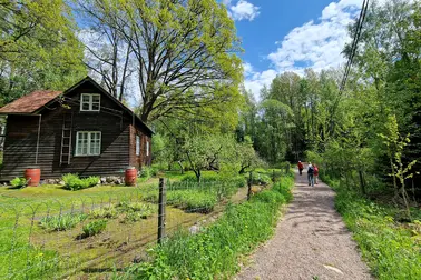 Retkeilijät kävelevät hiekkatietä, vasemmalla vanha puinen talo.