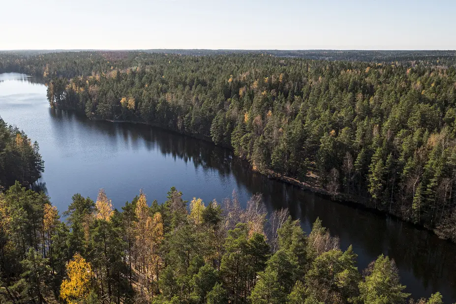 Ilmakuva Luukin ulkoilualueen vesistöstä ja metsästä.