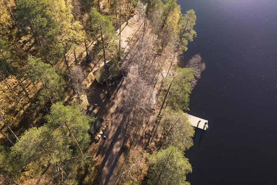 Ilmakuva metsäisestä rannasta ja laiturista.