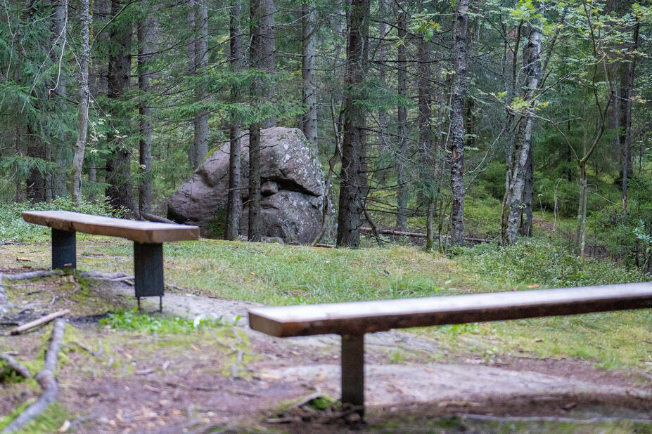 Kaksi penkkiä Siimespolun varrella 