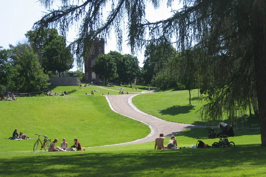 Groups of people sit in a green lawn with trees in the background.