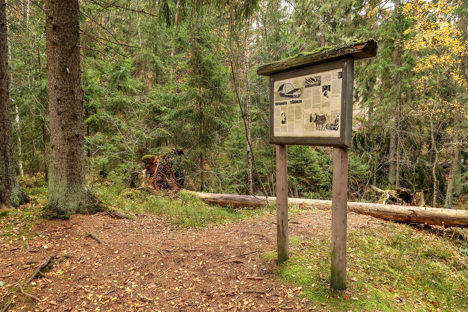Opastaulu metsässä.
