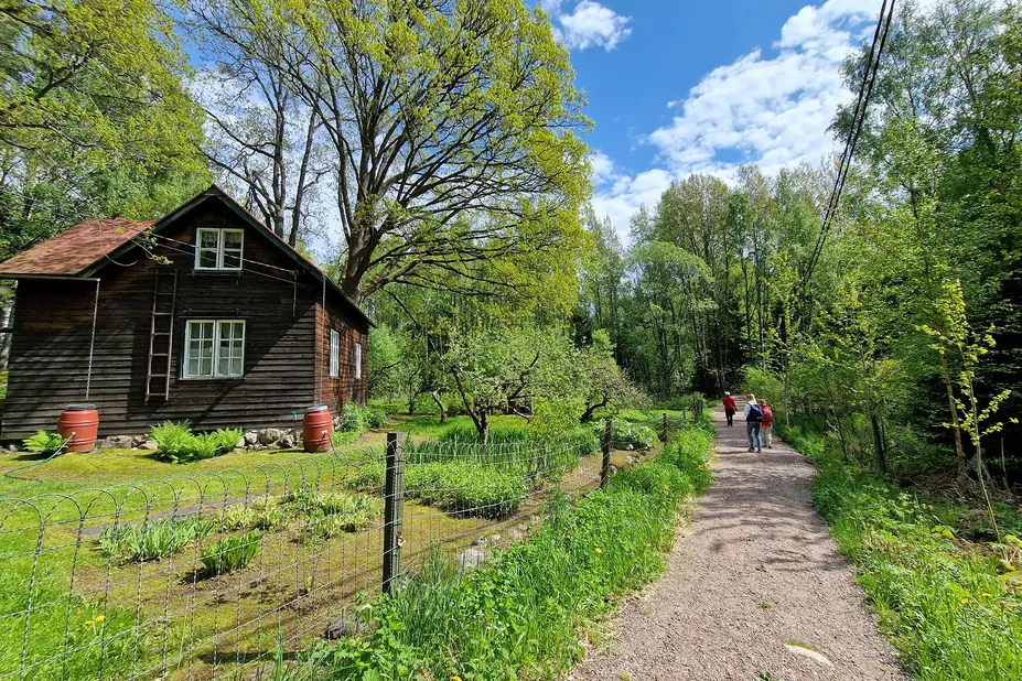 Retkeilijät kävelevät hiekkatietä, vasemmalla vanha puinen talo.