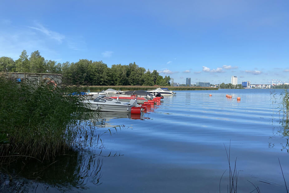 Koivusaari Lauttasaaresta päin