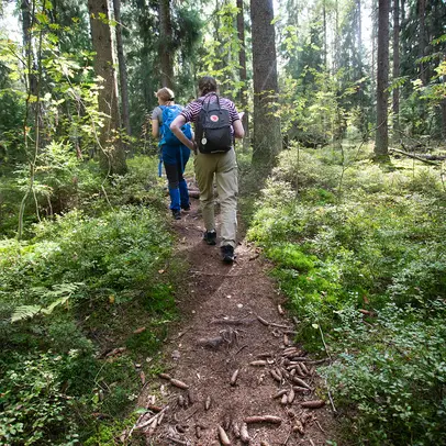 Kaksi henkilöä kävelee metsäpolulla.