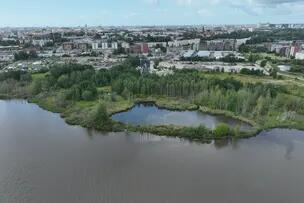 Luonnontilainen puisto lahden rannalla.