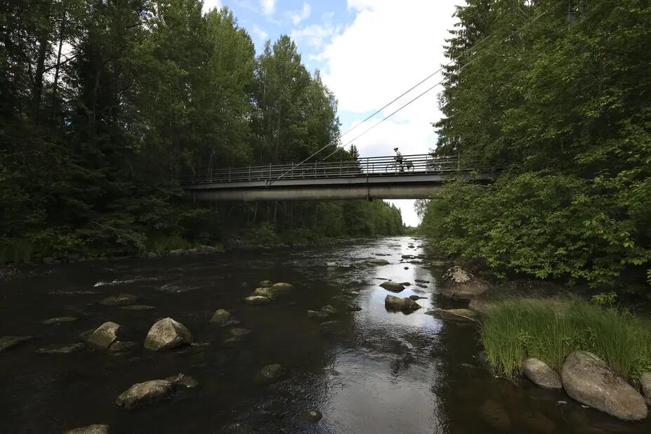 Kuninkaantammi Vantaanjoki